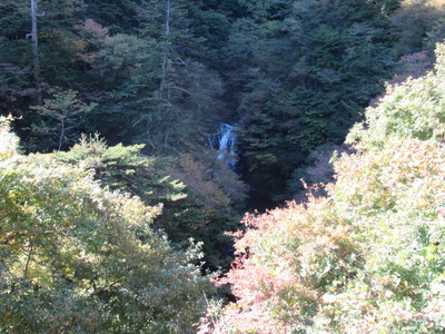 大滝旅館脇滝